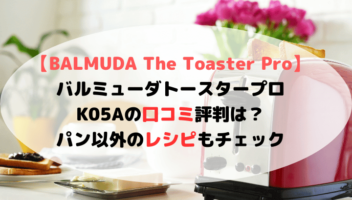 BALMUDA The Toaster Pro review